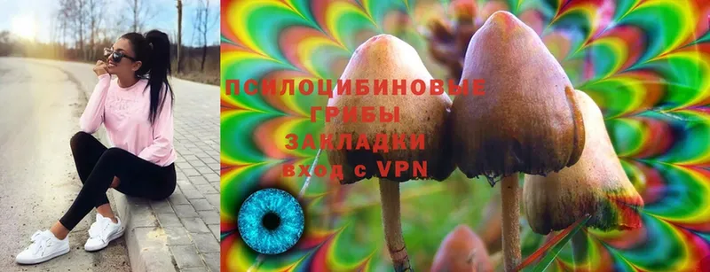 Галлюциногенные грибы MAGIC MUSHROOMS  купить закладку  Касимов 